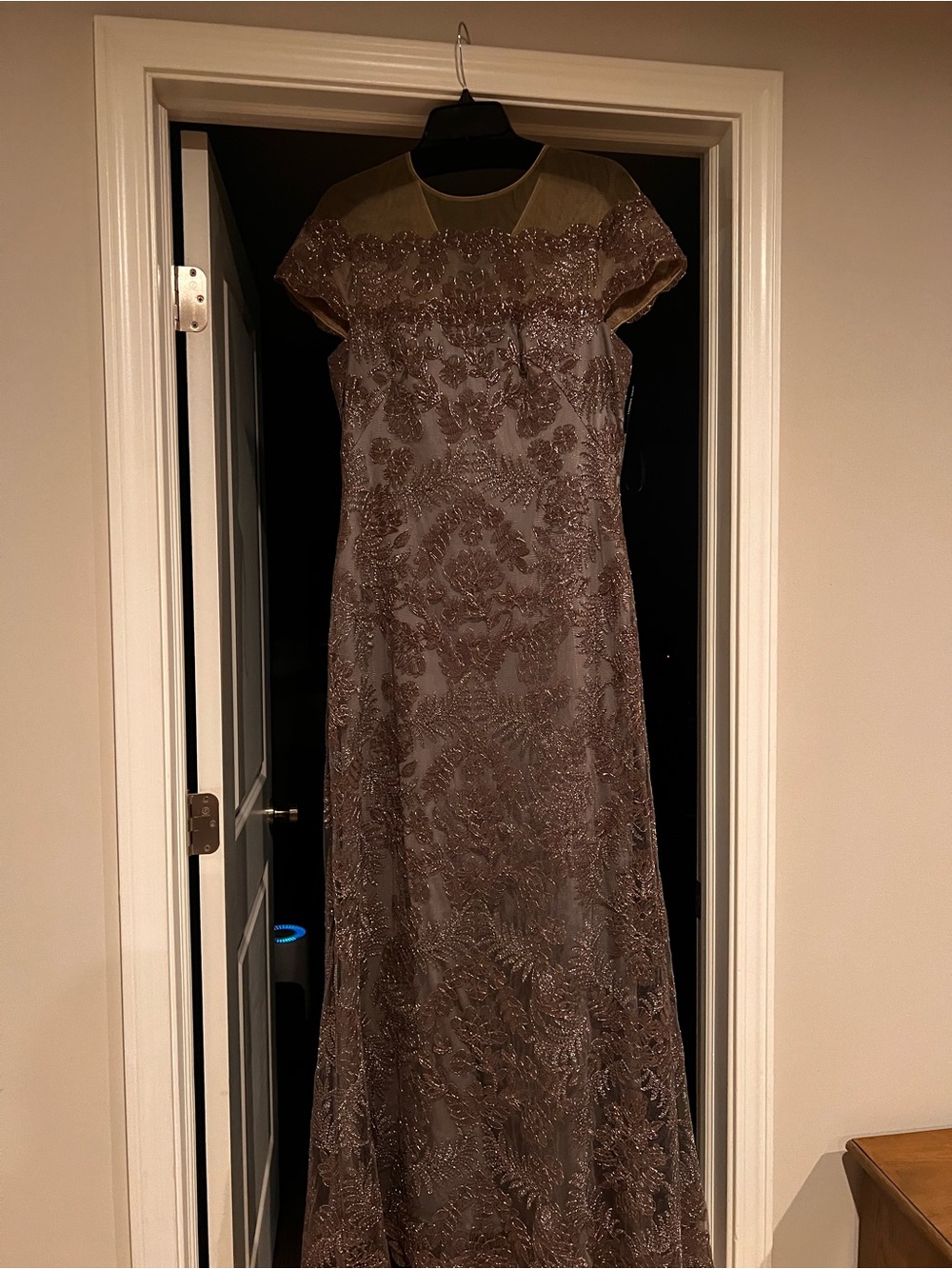 Tadashi Shoji Illusion Yoke Embroidered Lace Evening Gown